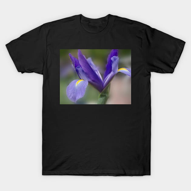 Iris T-Shirt by mariola5